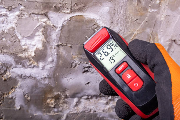 Best Commercial Mold Removal  in Dunlap, IL